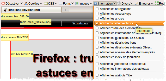 firefox : web developer addon