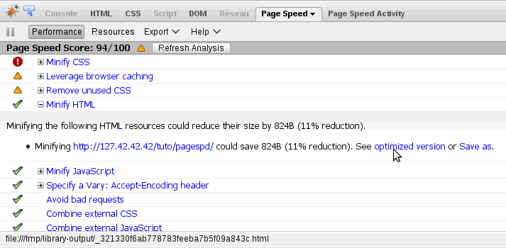 Google Page Speed report