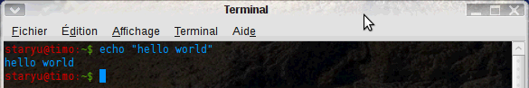 joli terminal avec couleurs