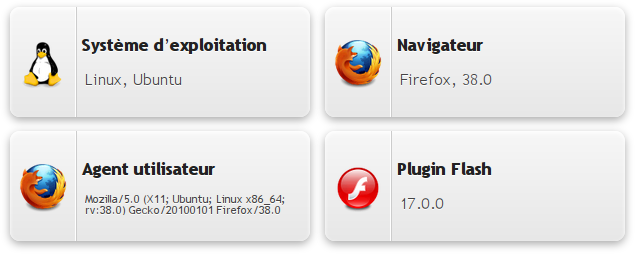 version de Flash dans Firefox