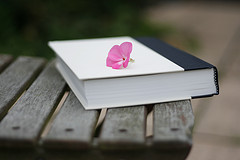 livre dehors sur une table avec une fleur
